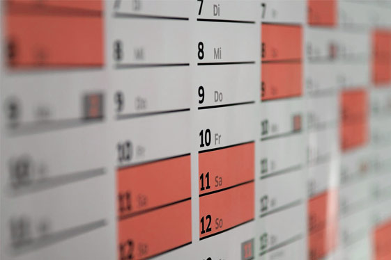 Belegungskalender